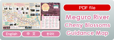 Meguro River Cherry Blossoms Guidance Map 2023（PDF）